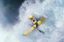 总决赛最新形势：本菲卡高居榜首，费内巴切强势追赶，冠军归属成迷